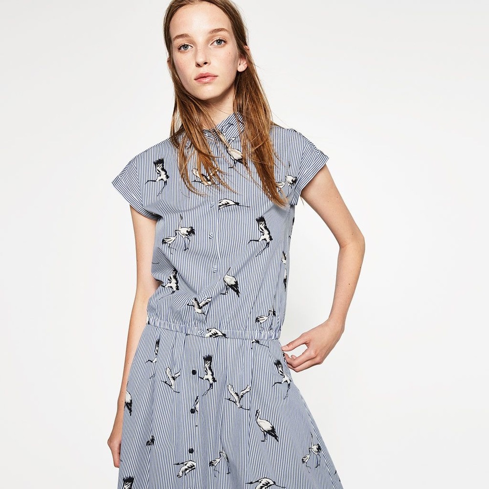 ZARA striped bird print blouse